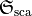 \mathfrak{S}_\text{sca}