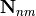\pvec{N}_{nm}